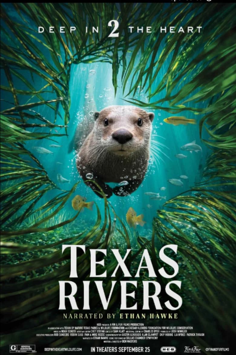 Deep in the Heart II: Texas Rivers poster