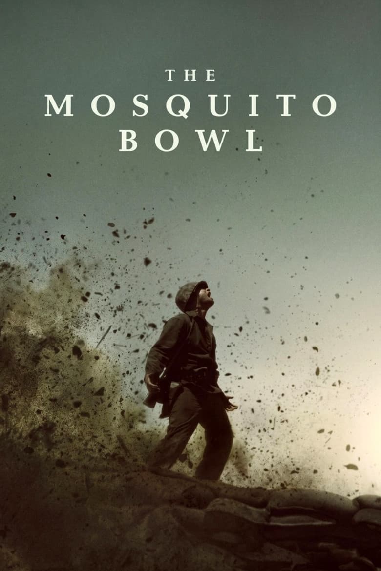 The Mosquito Bowl poster