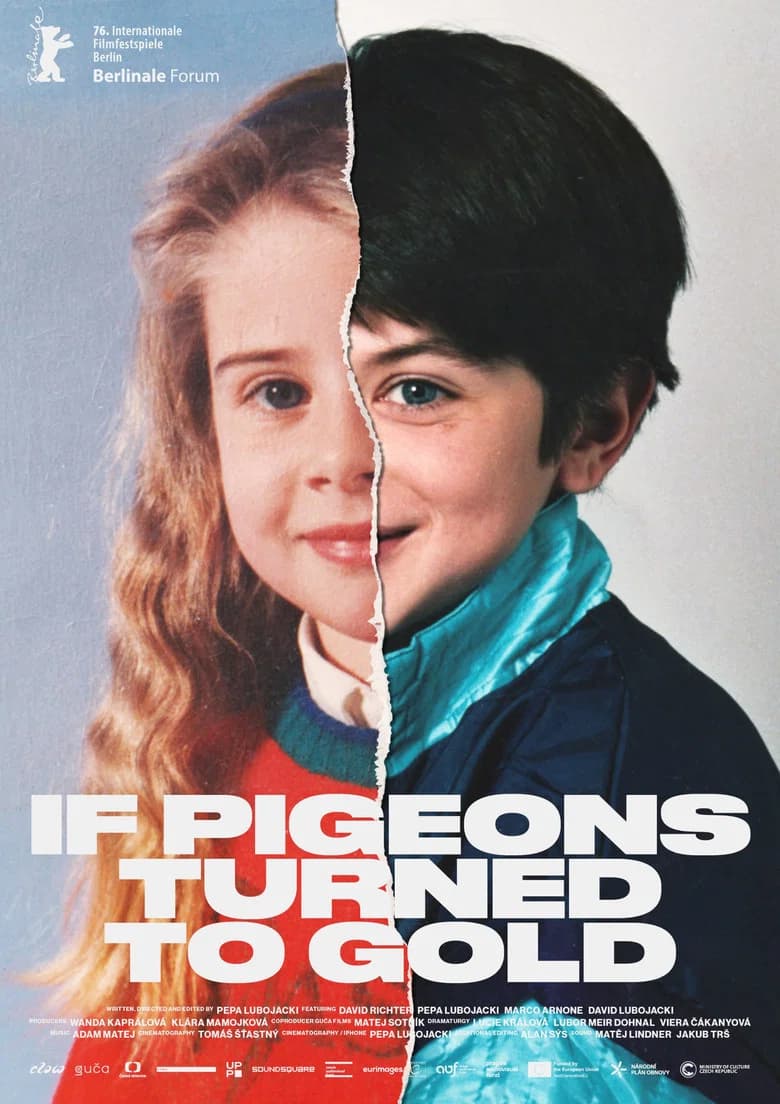 If Pigeons Turned to Gold poster