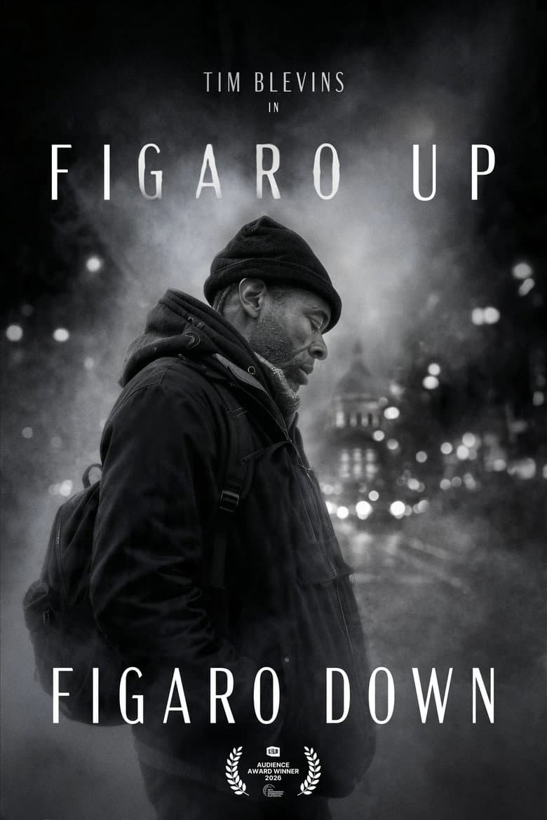 Figaro Up, Figaro Down poster