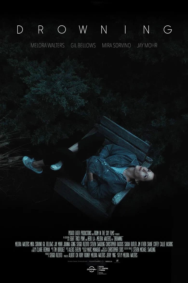 Drowning poster